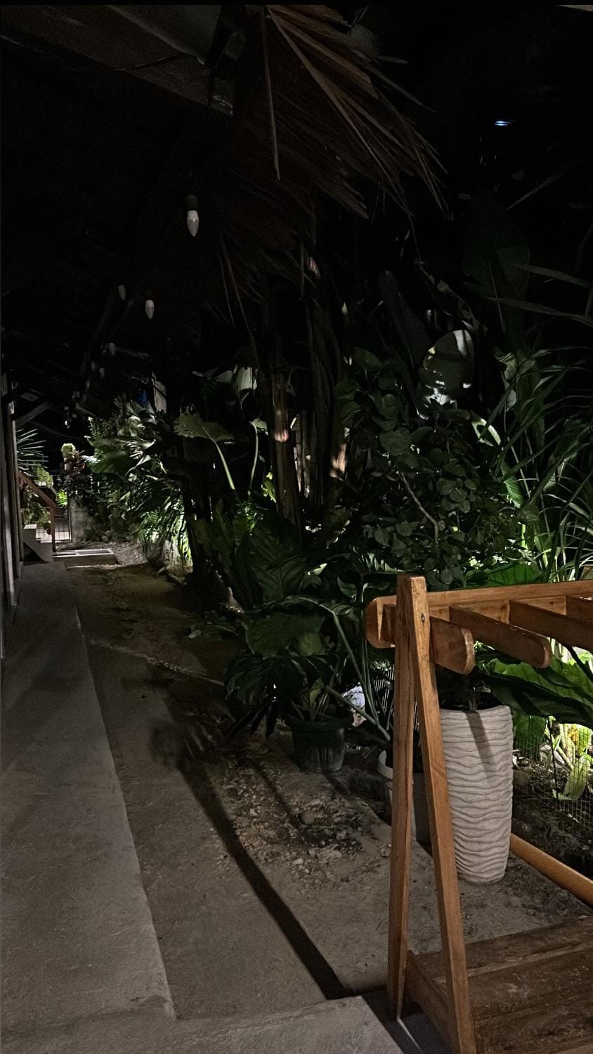 Night, Garden, Garden view