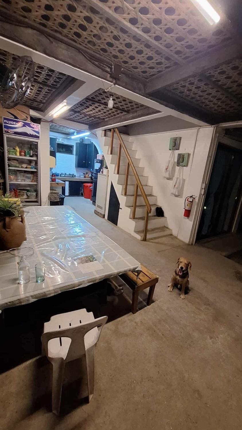 Kitchen or kitchenette, Communal kitchen, kitchen