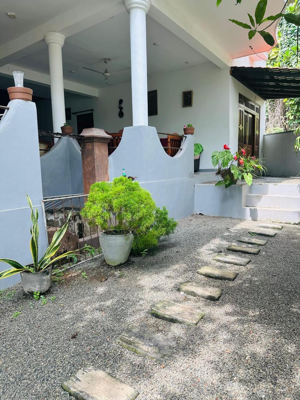 Property building, Day, Garden