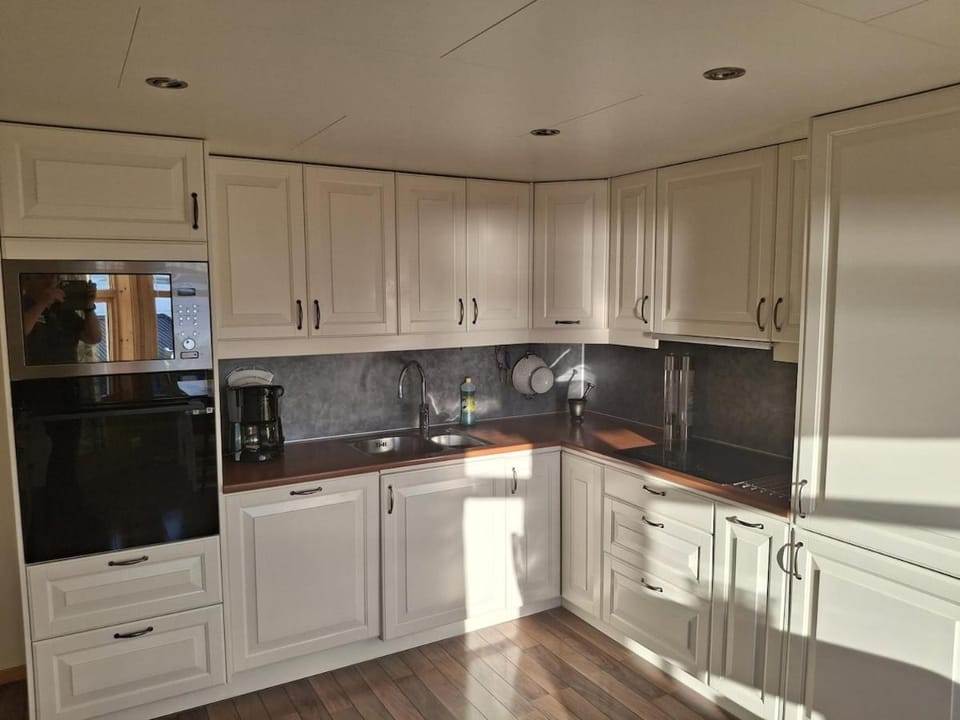 Kitchen or kitchenette, dishwasher, stove