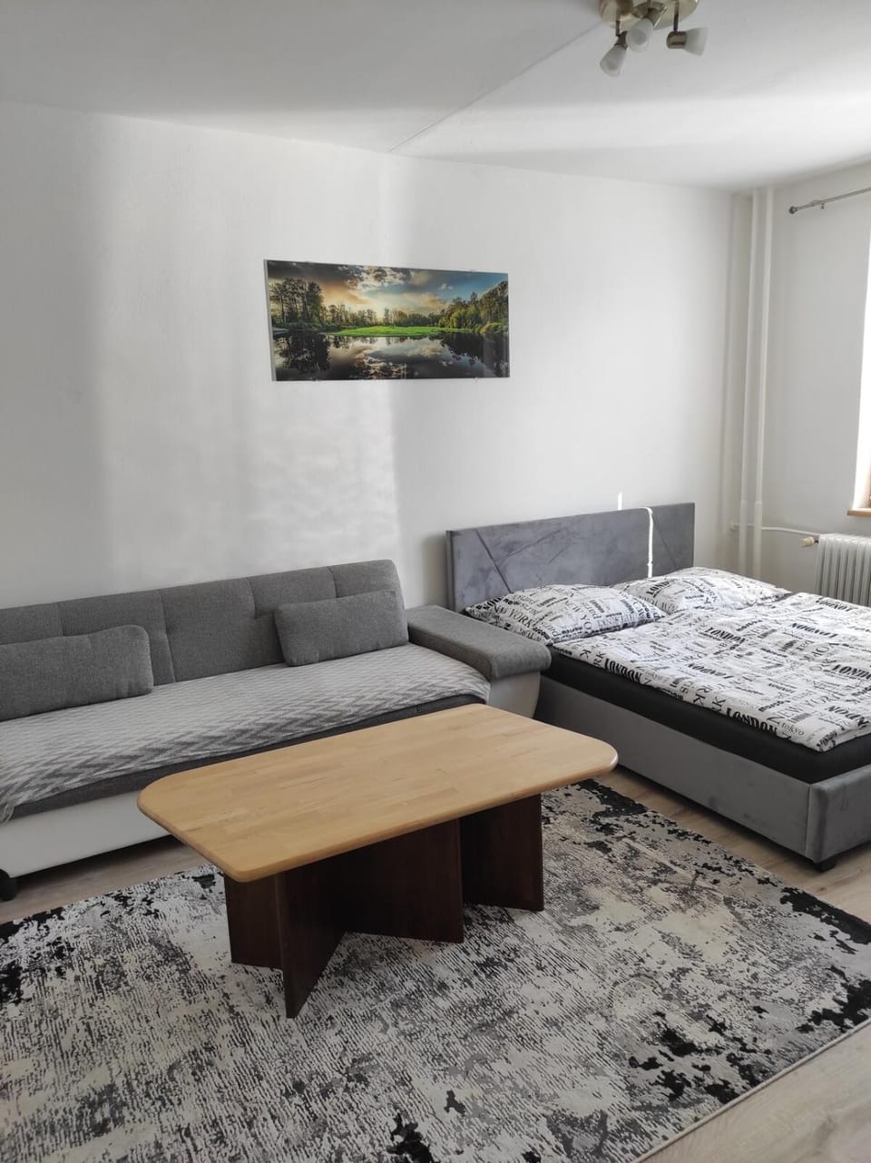 Photo of the whole room