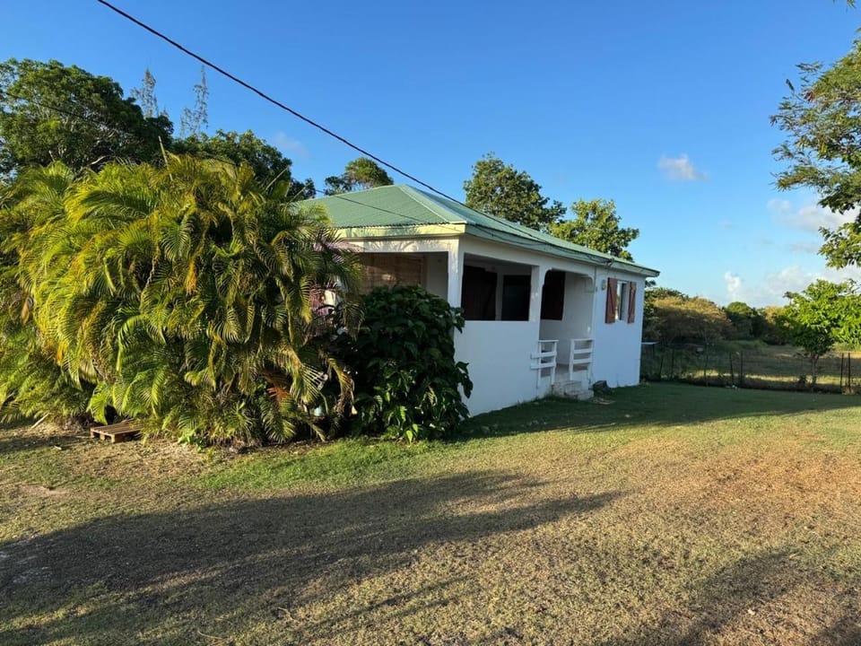 Property building, Day, Garden