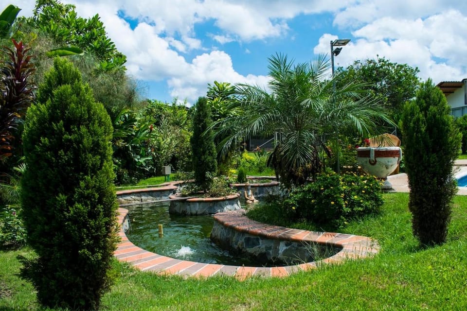 Natural landscape, Garden, Garden view