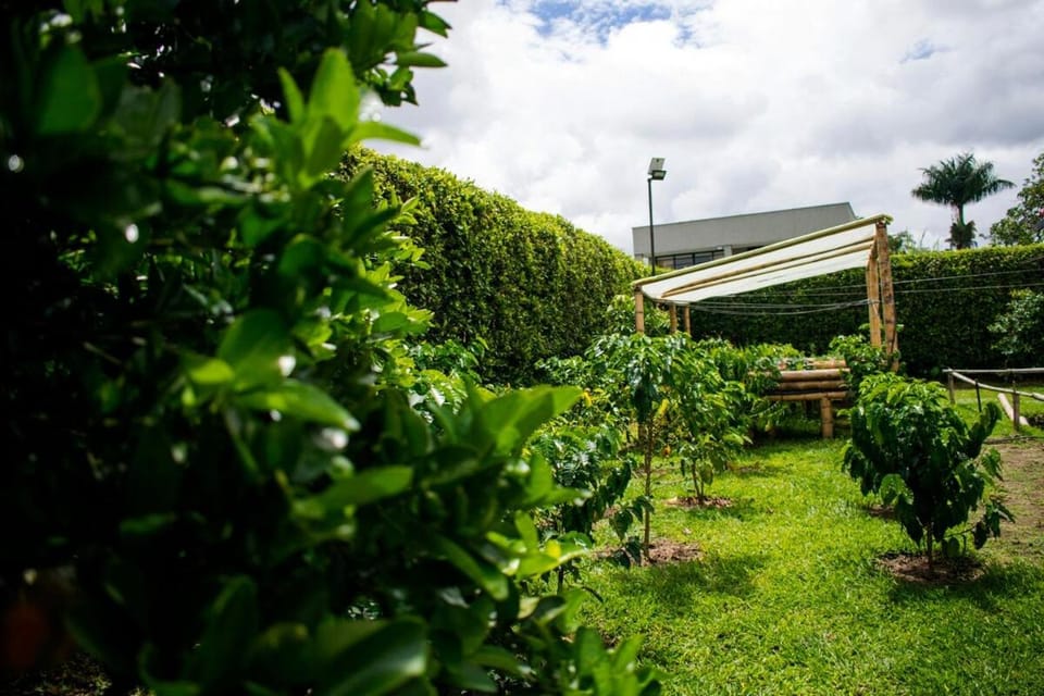 La Adorada Resort Boutique Villa House in Cundinamarca, Colombia
