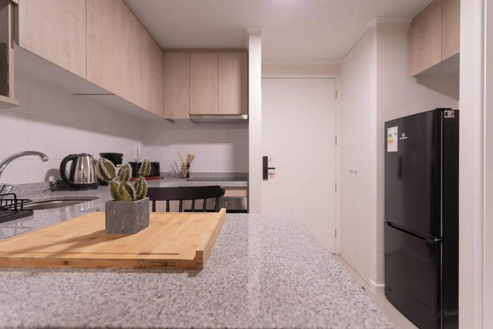 Your Urban Oasis 1BR in Downtown Santiago Apartment in Santiago