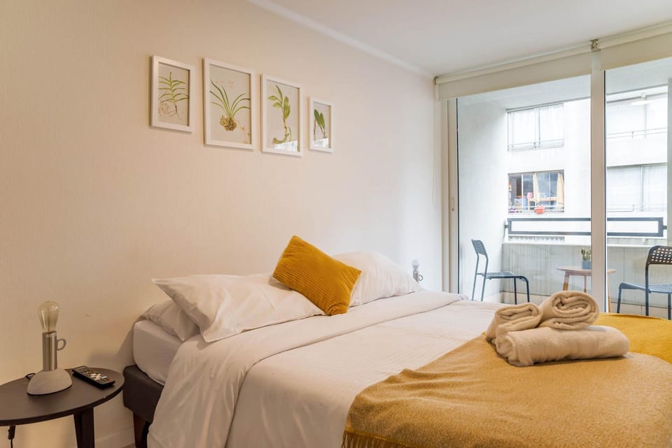 Your Urban Oasis 1BR in Downtown Santiago Apartment in Santiago