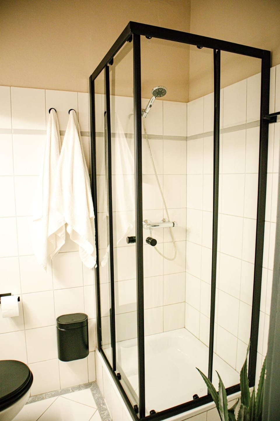 Shower, Bathroom, towels