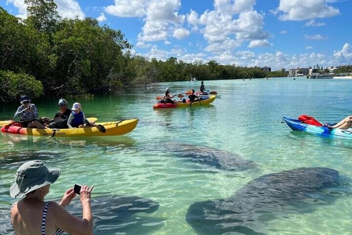 Activities