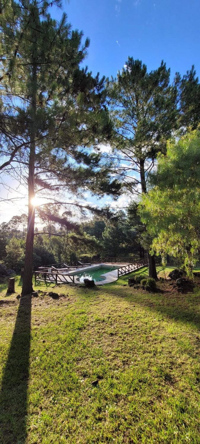 Natural landscape, Swimming pool