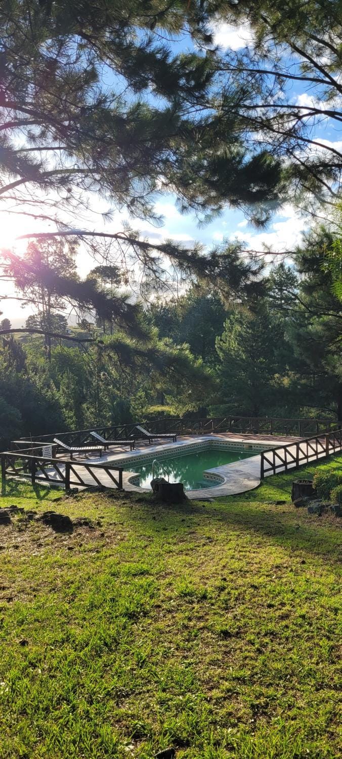 Natural landscape, Garden view, Pool view, Swimming pool