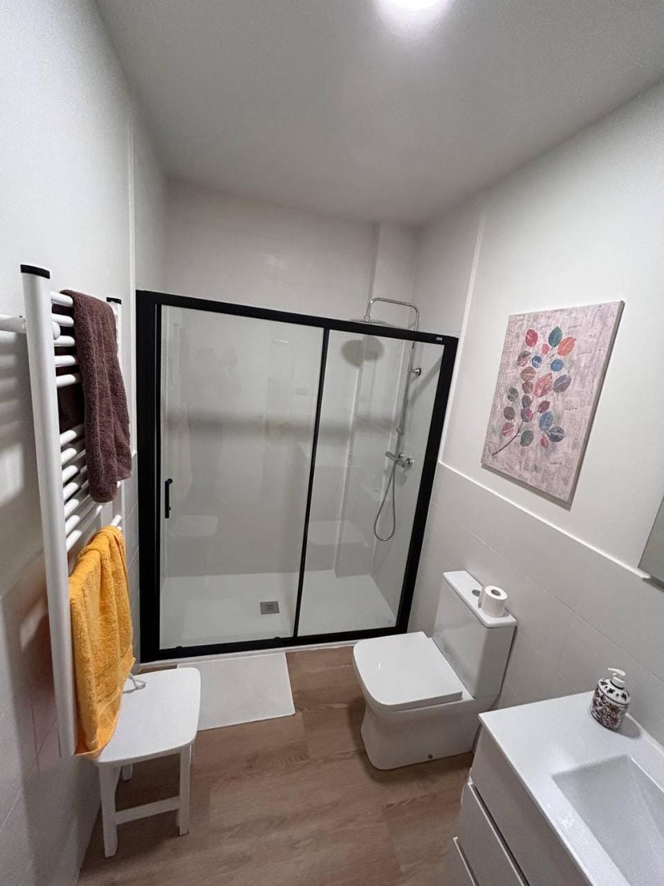 2 Habitaciones privadas con 1 baño privado, salon y cocina Vacation rental in Bilbao
