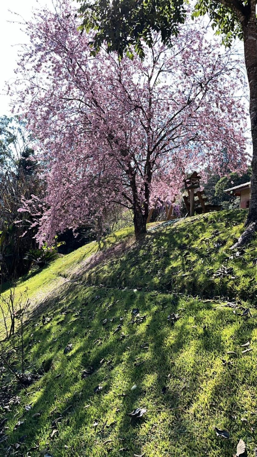 Natural landscape