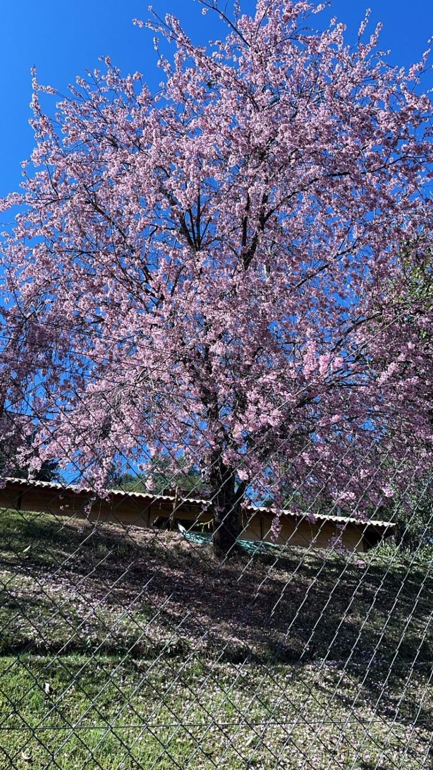 Natural landscape