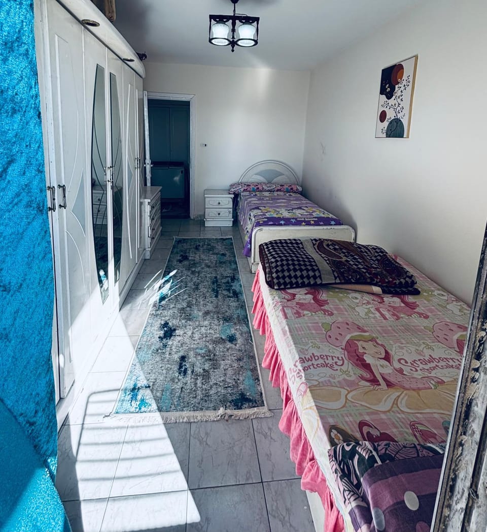 شقة علي البحر مباشرة غرفتين و رسيبشن مكيفة Apartment in Alexandria