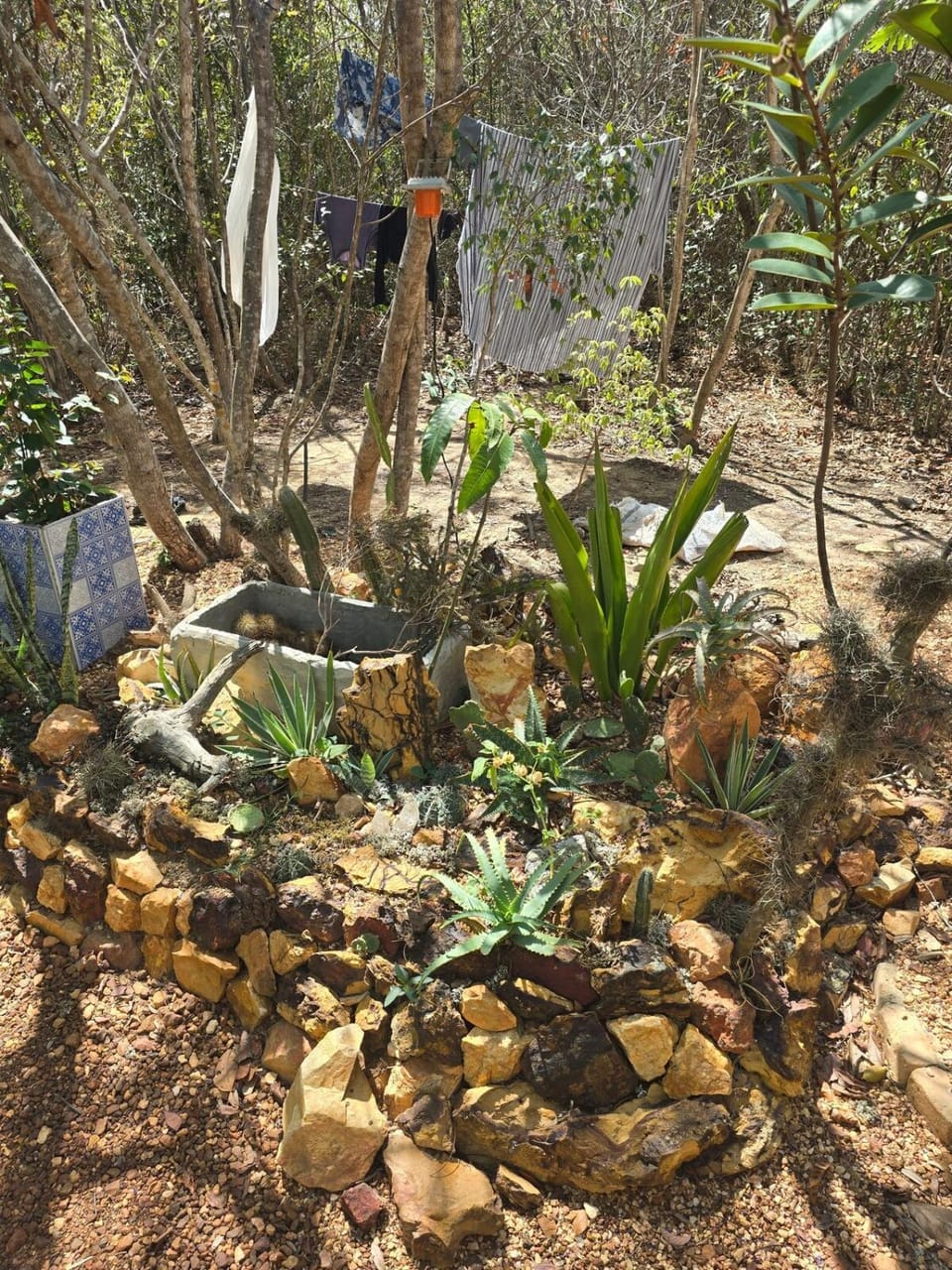 Spring, Garden, Garden view