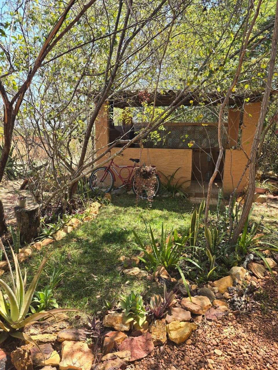 Garden, Kitchen or kitchenette, Garden view