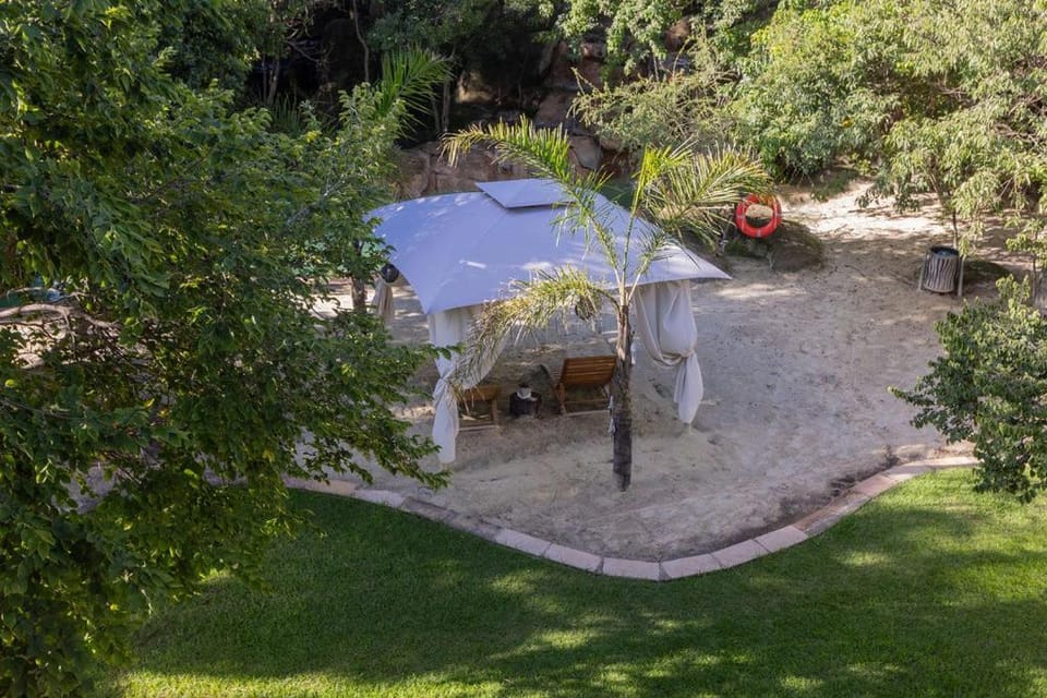 Natural landscape, Garden, Garden view, Swimming pool