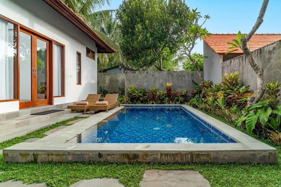 Garden, Garden view, Pool view, Swimming pool, sunbed