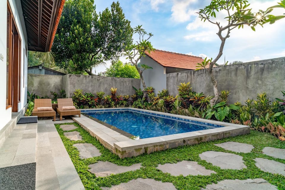 Garden, Garden view, Pool view, Swimming pool, sunbed