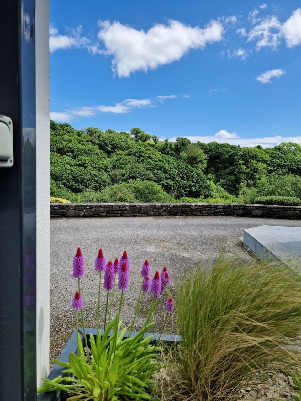 La Cabaña - Studio apartment between Leap and Rosscarbery Apartment in County Cork