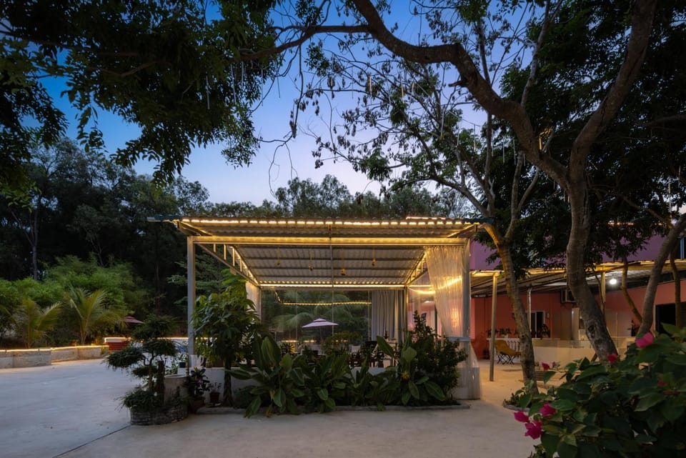 Garden view