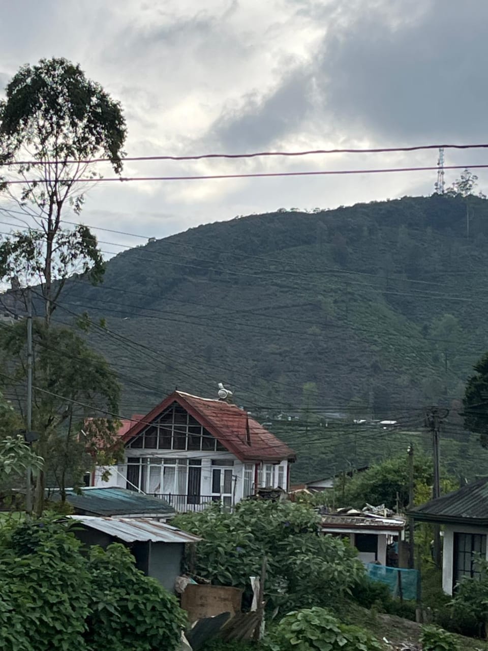 Mountain view