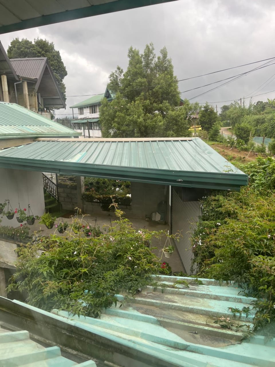 Garden view