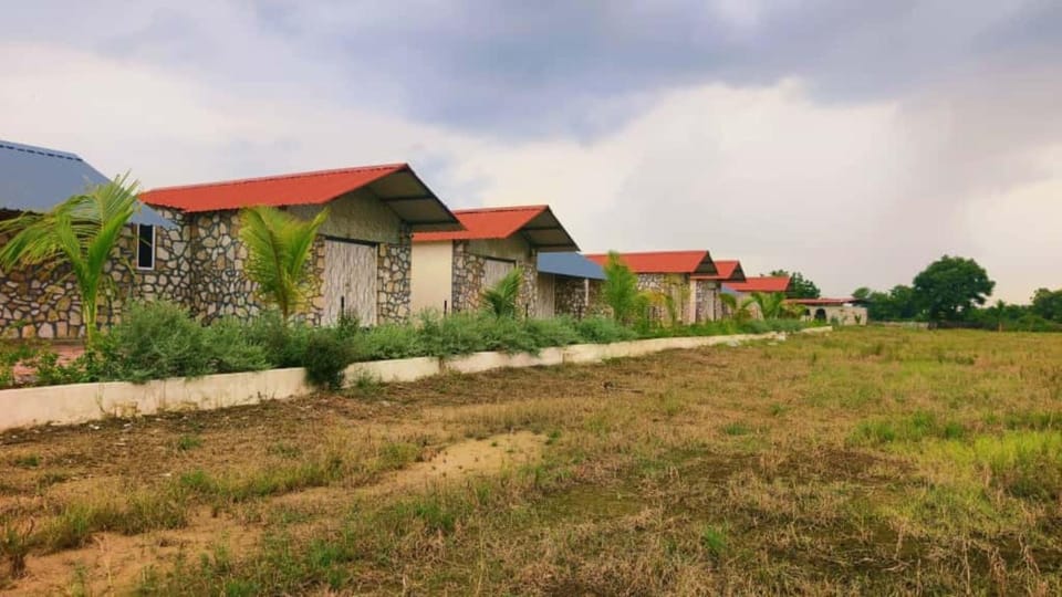 Natural landscape, Garden