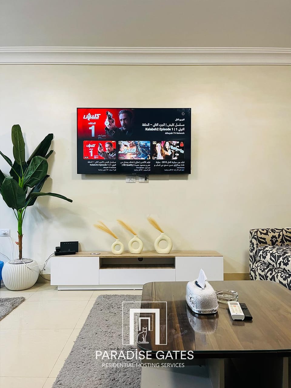 TV and multimedia