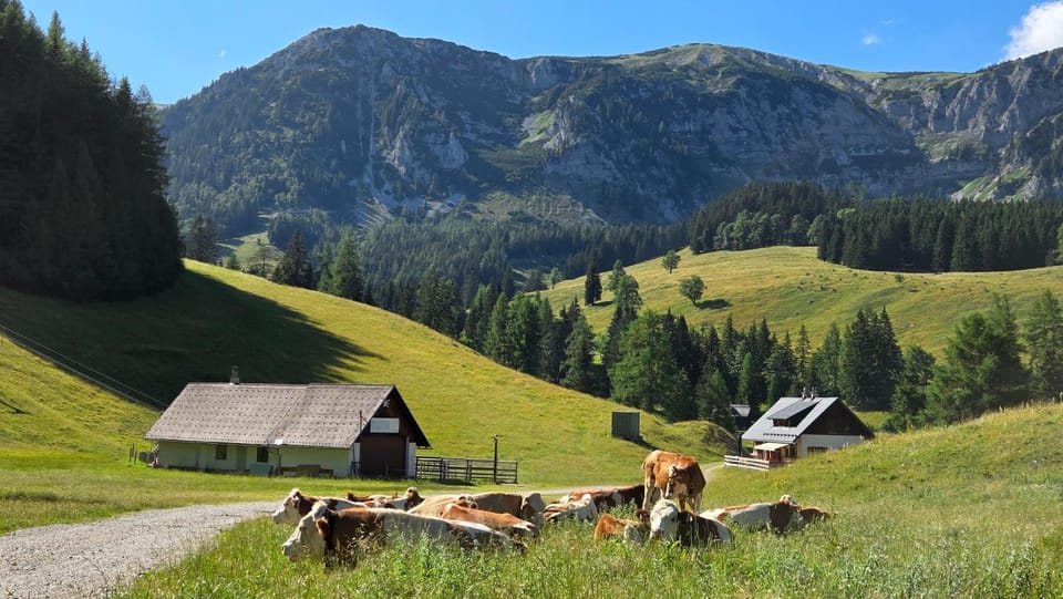 Almhütte am Steirischen Seeberg Apartment in Styria