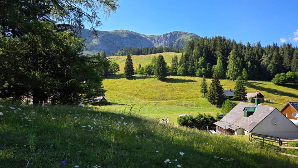 Almhütte am Steirischen Seeberg Apartment in Styria
