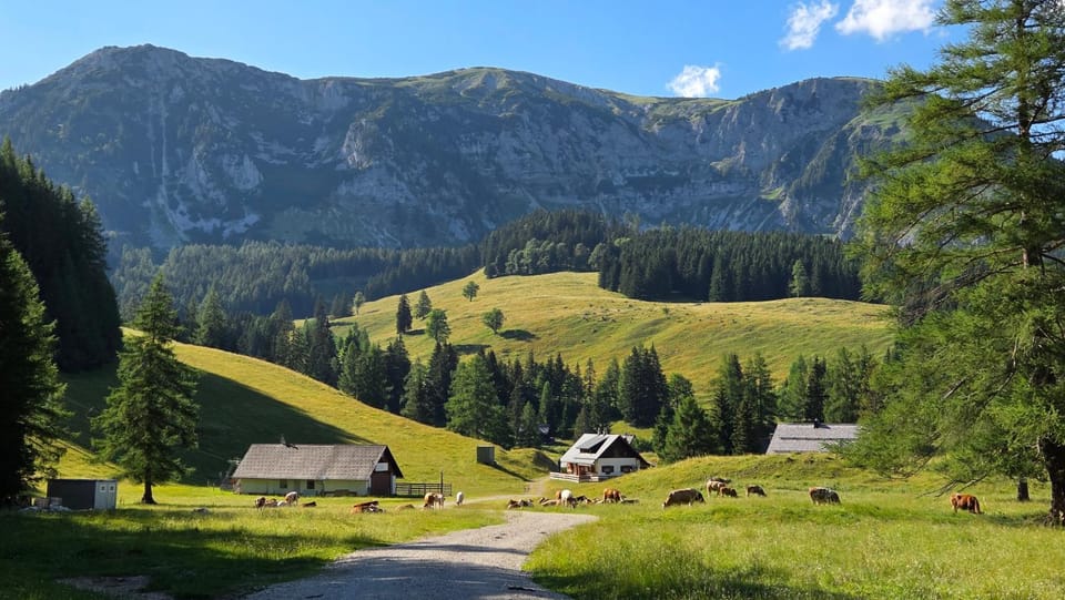 Almhütte am Steirischen Seeberg Apartment in Styria