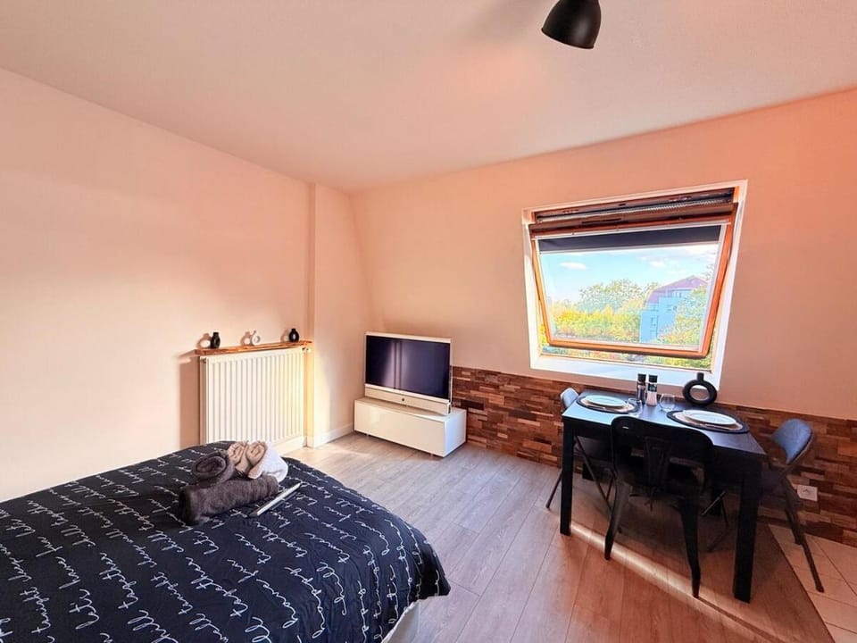 L'escale de Haguenau - Cosy dans le centre Haguenau Apartment in Haguenau