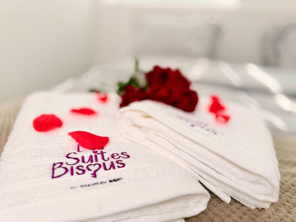 Les Suites Bisous Metz - Jacuzzi & Private Sauna Apartment in Metz
