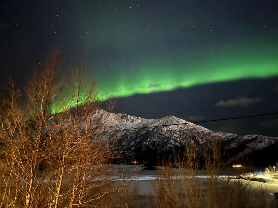 View (from property/room)