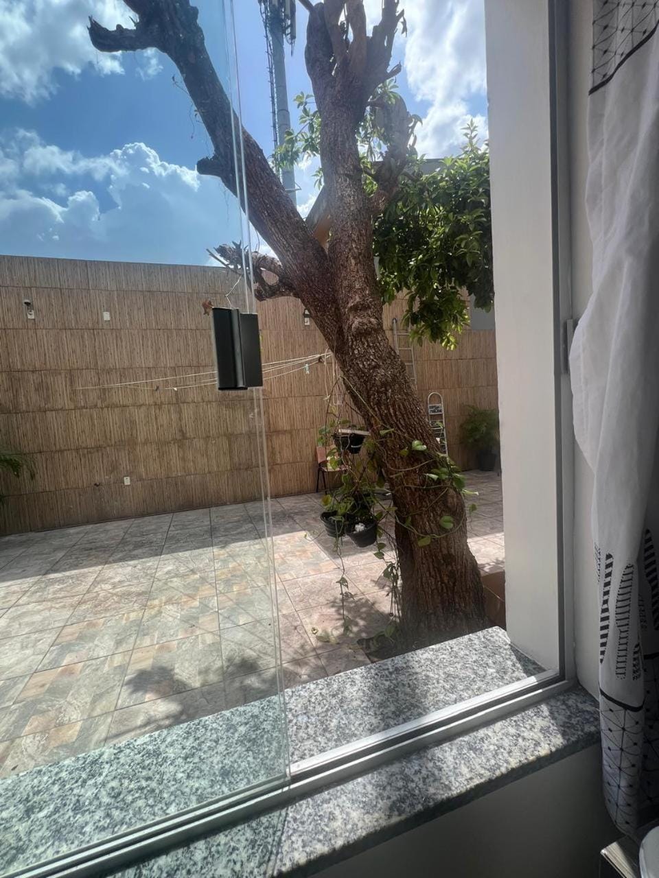 Patio, Day, Garden, View (from property/room)