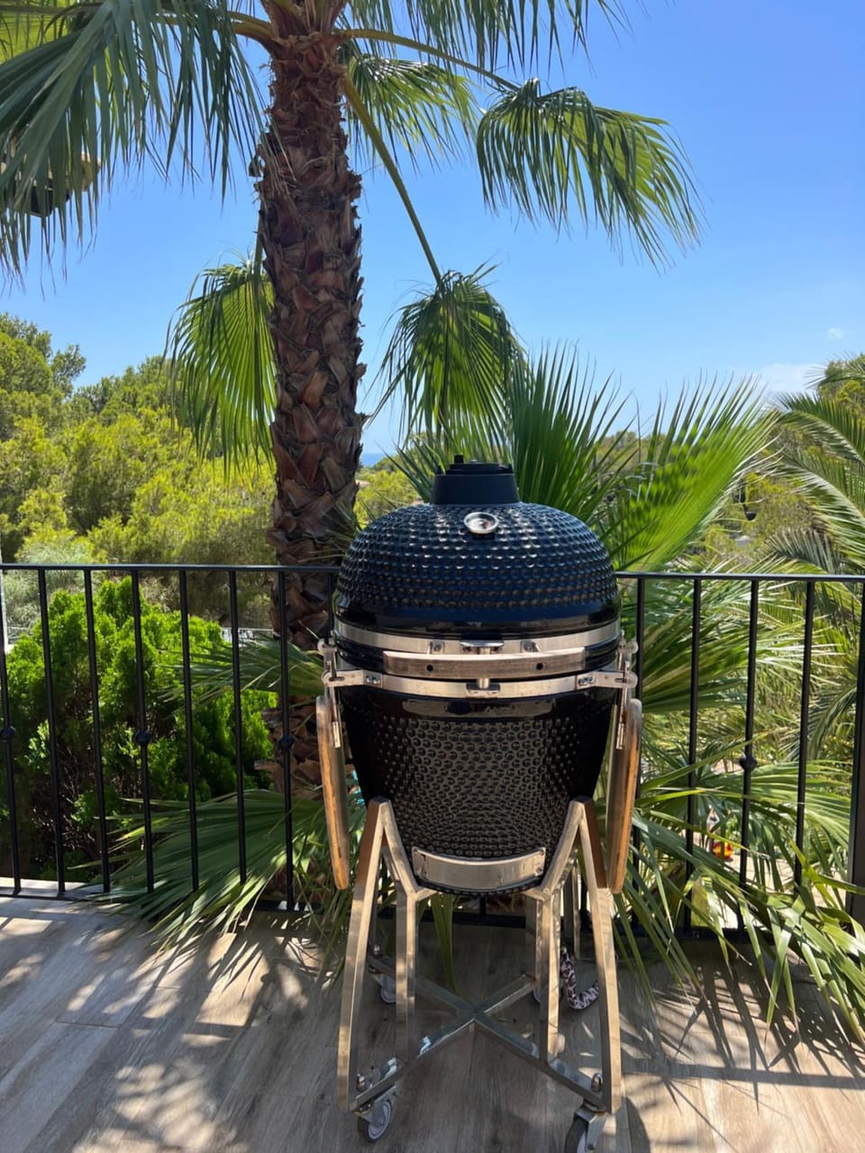 Day, BBQ facilities, Garden