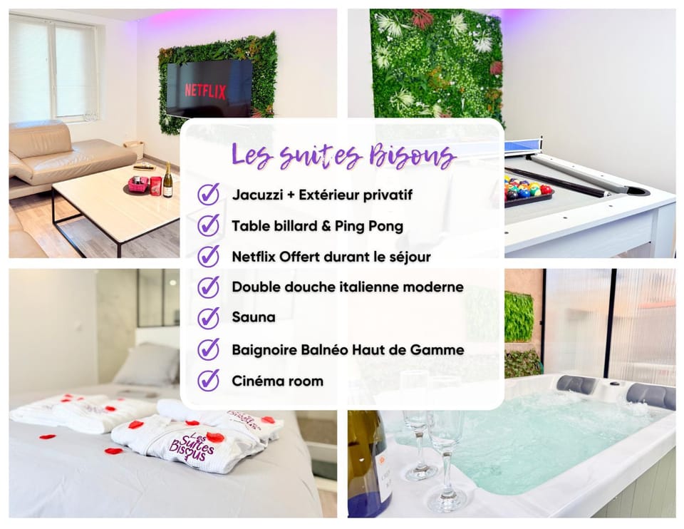Loft Luxe Nancy - Jacuzzi - Sauna - Cinéma Apartment in Nancy