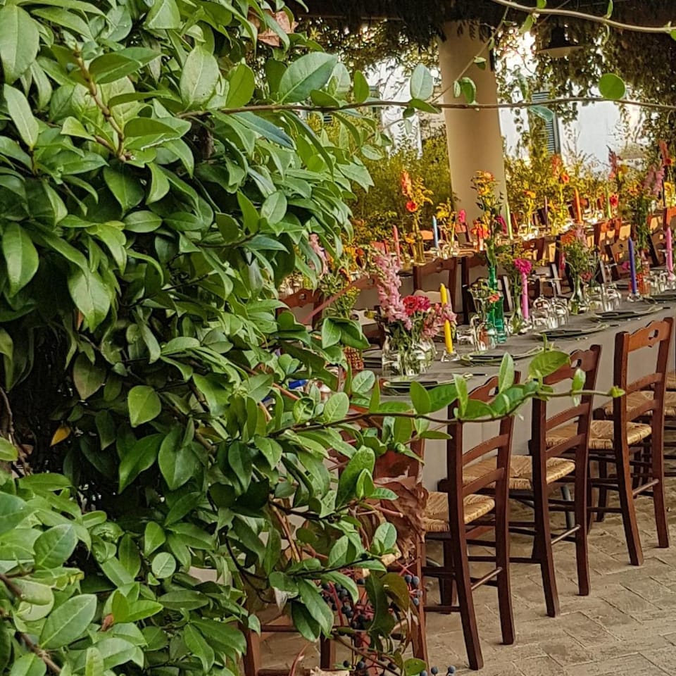 Restaurant/places to eat, Day, Banquet/Function facilities, Garden view