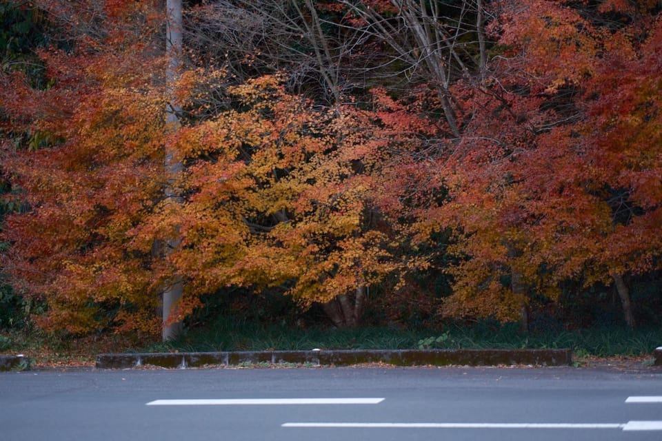 Natural landscape