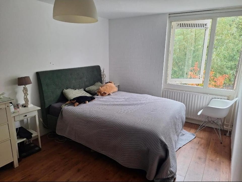 Large family house in Tanthof, Delft House in Delft