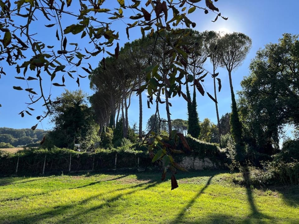 Villa with Garden near Rome for Groups & Families Villa in Lazio