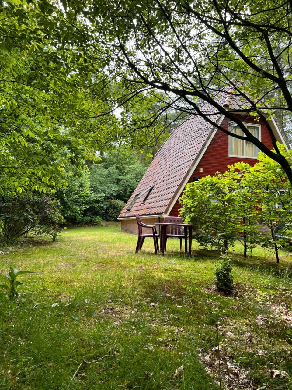 De Boomklever, vrijstaand en midden in het bos aan de heide! House in Ermelo