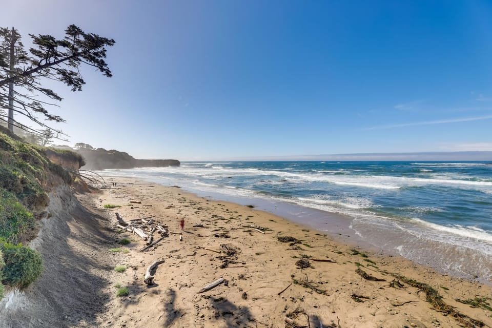 Fish and Whale Watch Otter Rock Gem with Beach Access Apartment in Otter Rock