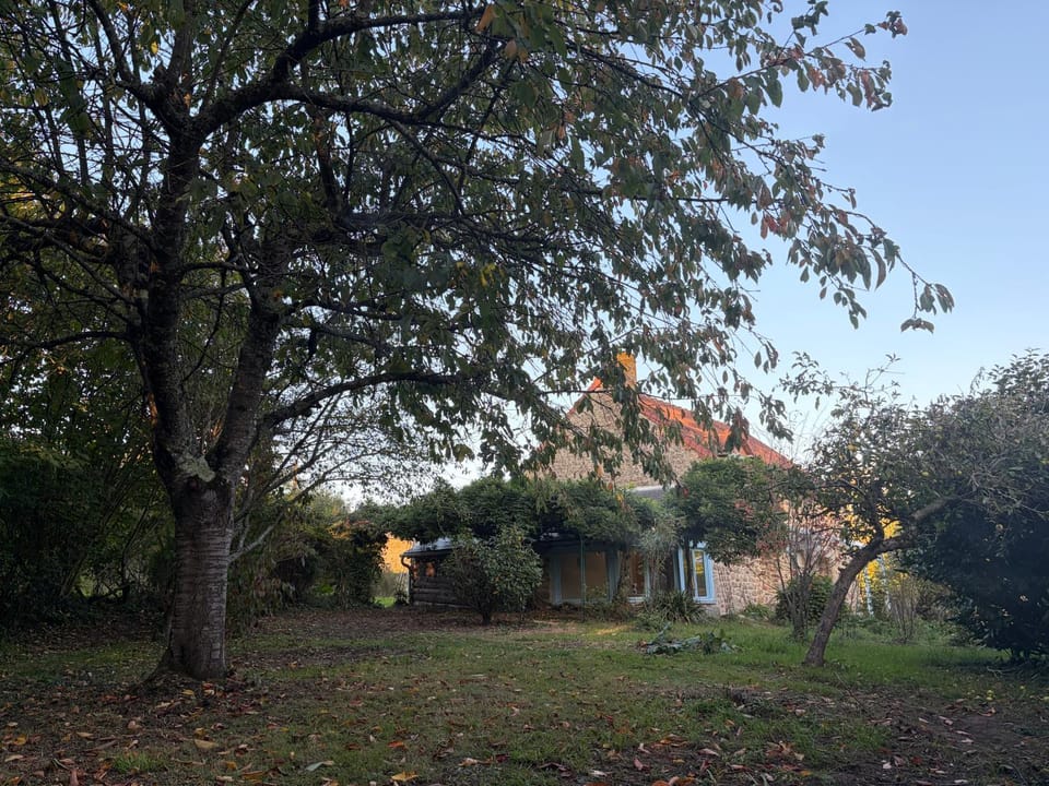 Garden, Garden