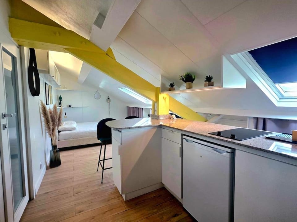 Mansarde Lumineuse - Nice Gare 2 pers Apartment in Nice