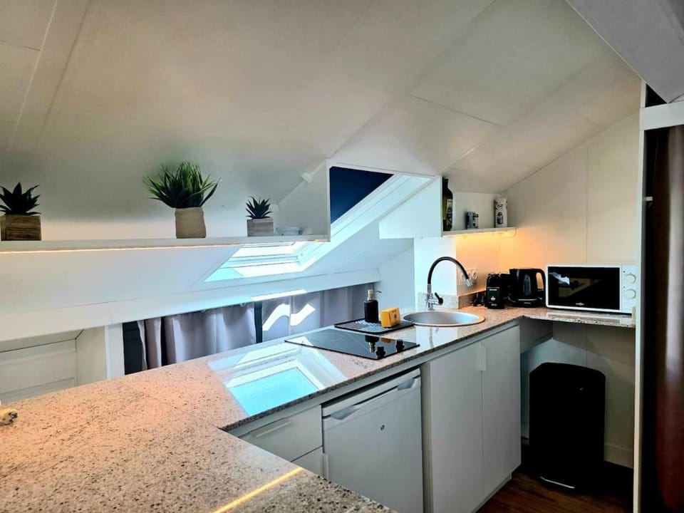 Mansarde Lumineuse - Nice Gare 2 pers Apartment in Nice