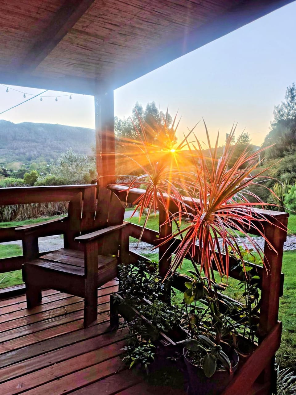 Garden, Garden view, Mountain view, Sunrise