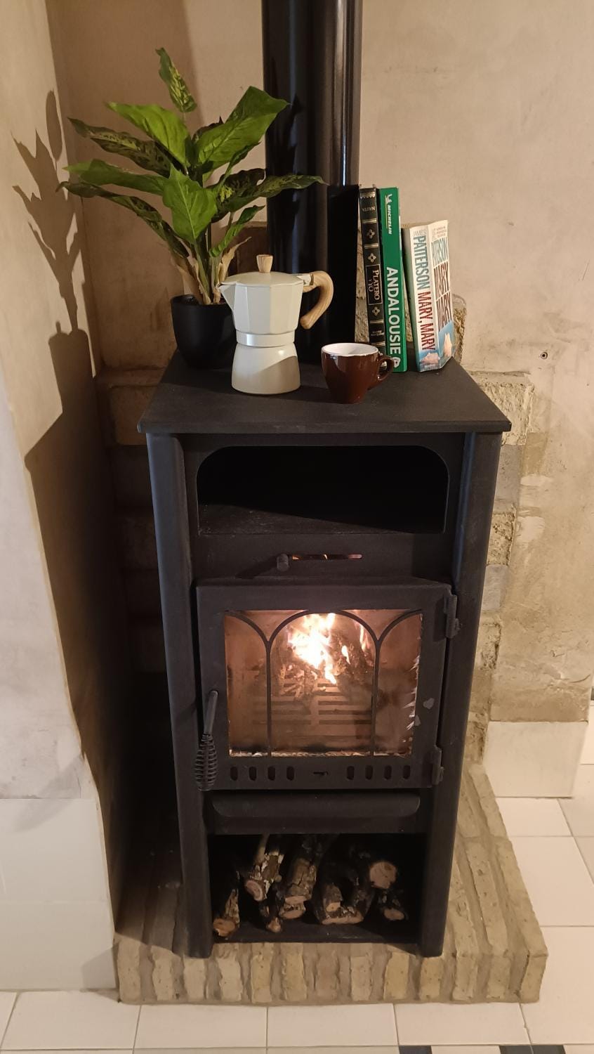 Lounge or bar, fireplace