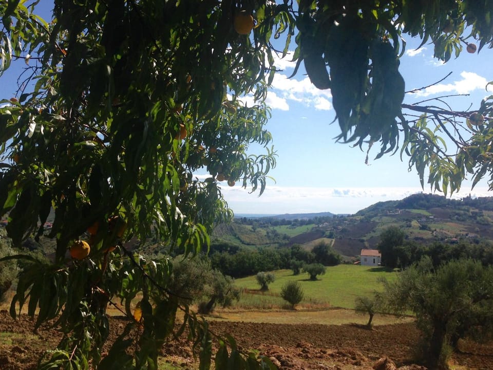 Natural landscape